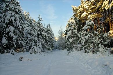 PS Stars系统故障修复 部分用户余额被修复为负数
